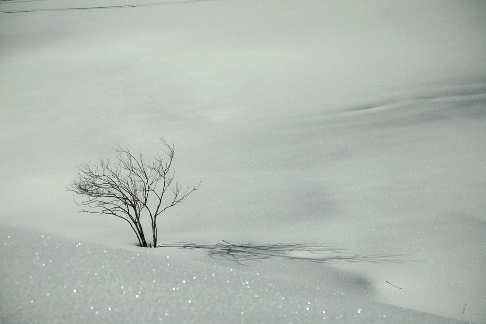 Фотография автора Лада Денисова