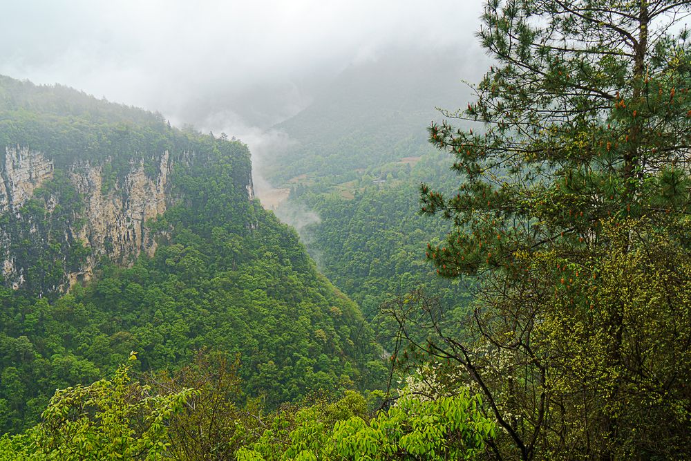 Photograph by Юлия Максимова