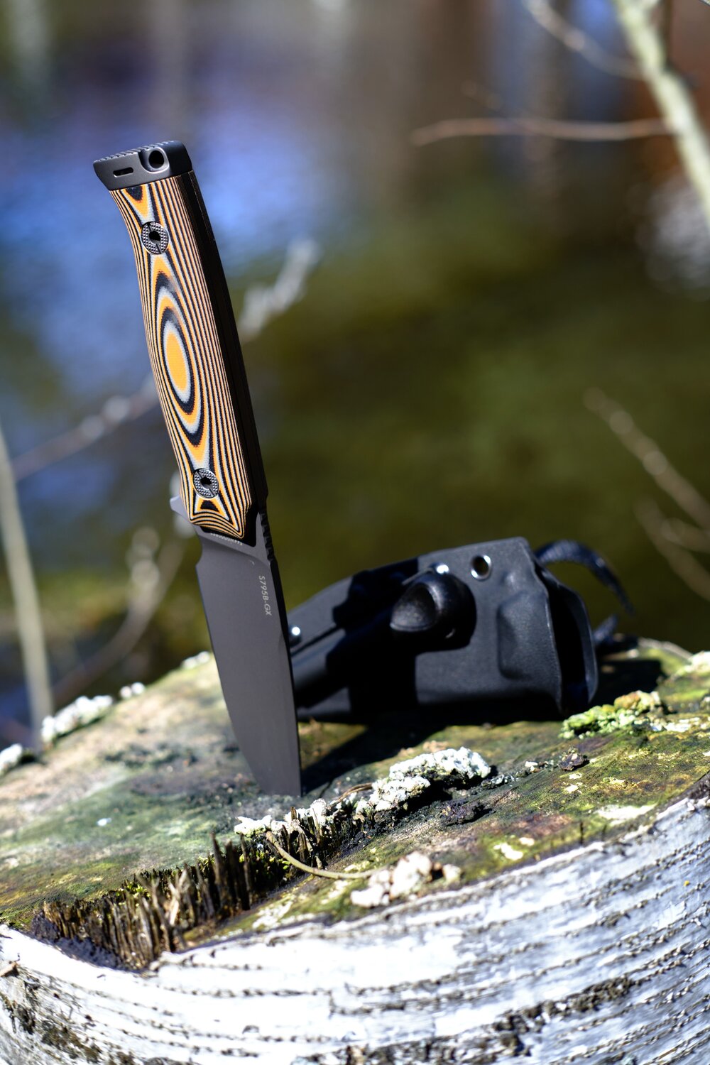 Photo #13648258