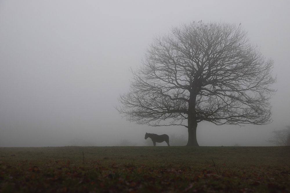 Photograph by Maria Jacewicz