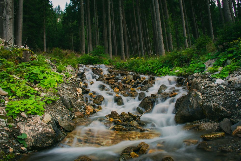 Photograph by Nicole Maria Wolff