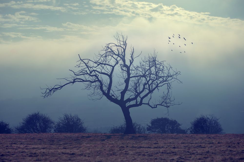 Photograph by Maria Jacewicz