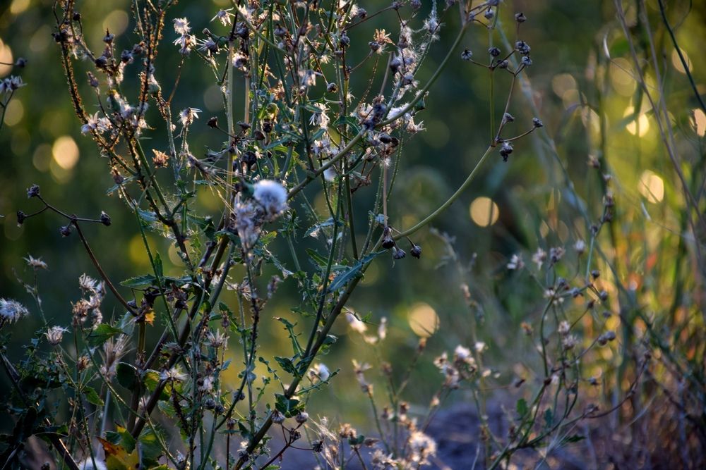 Photograph by Наталия Самкина
