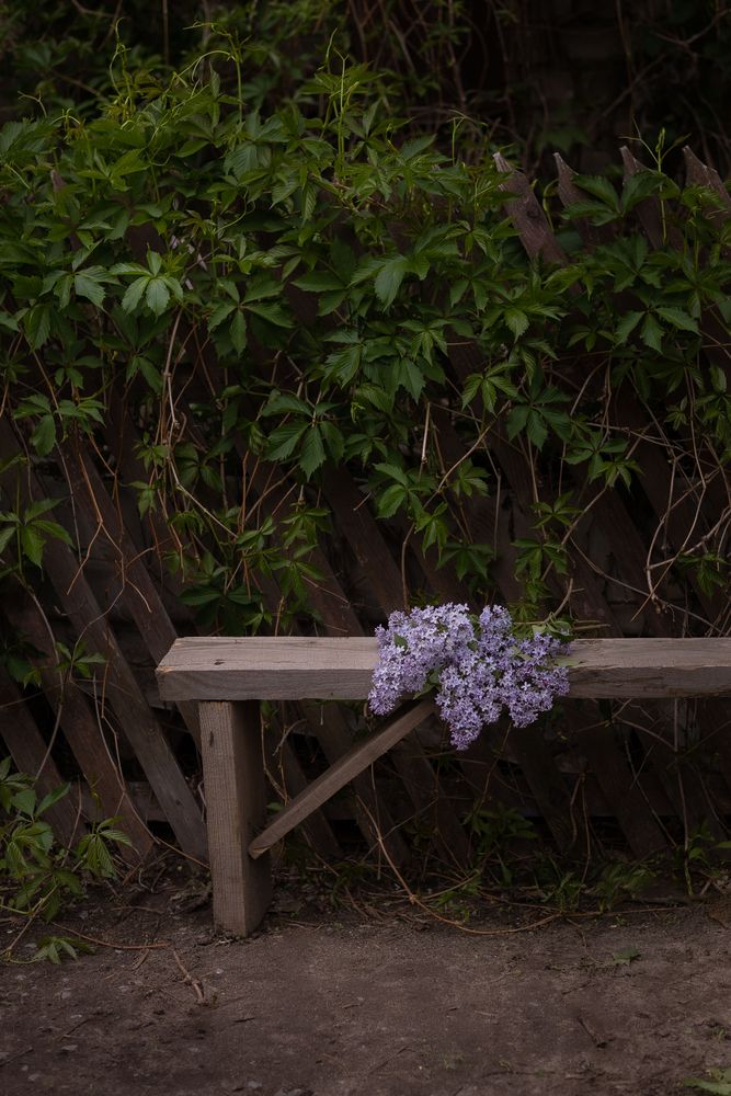 Photograph by Алёна Маринина