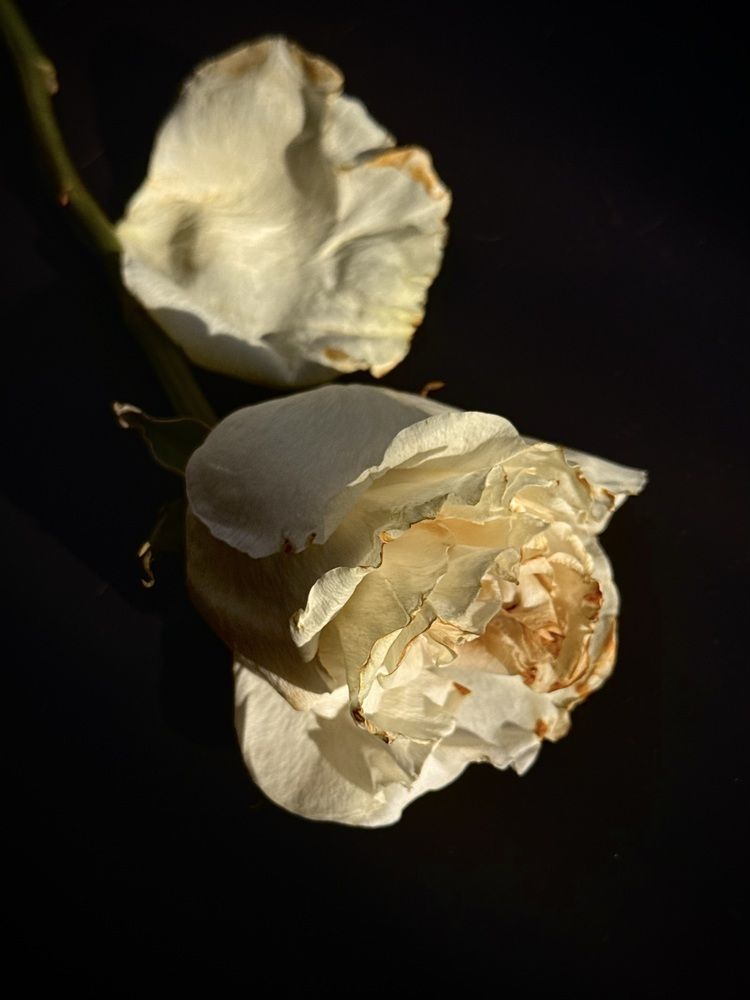 Photograph by АННА ЕРМАК