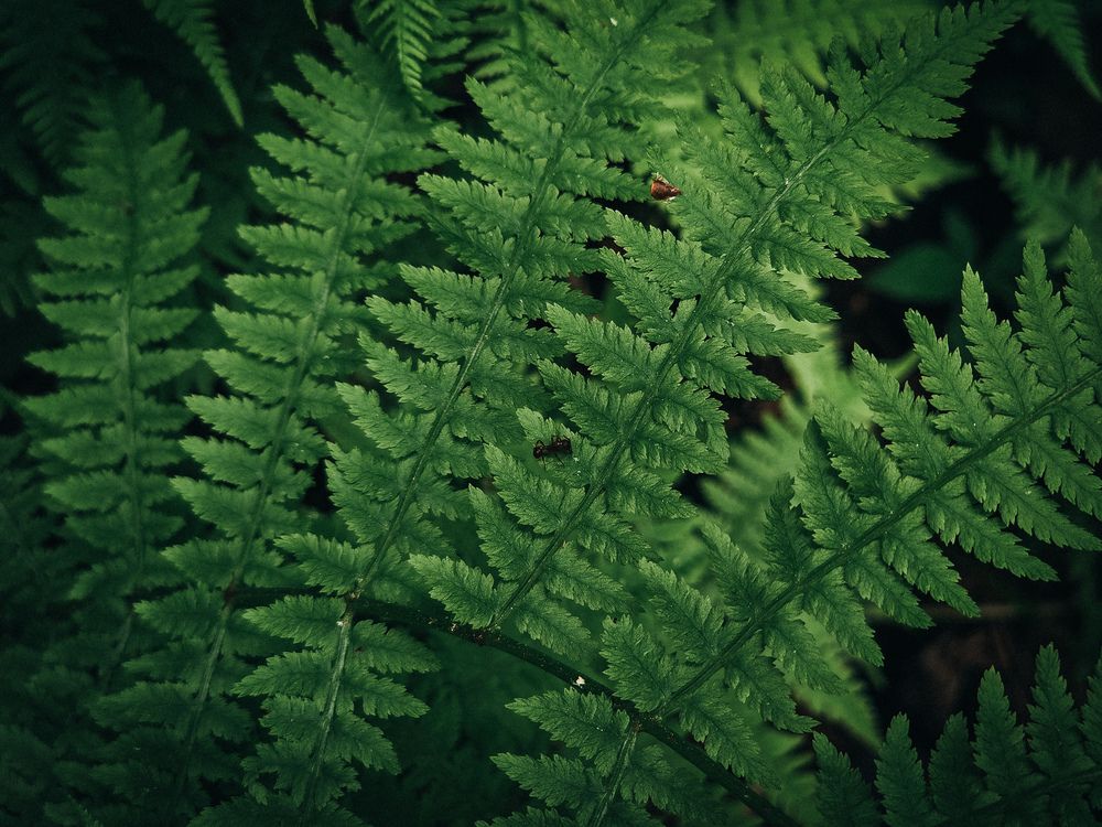 Photograph by Валерия Гуртовая