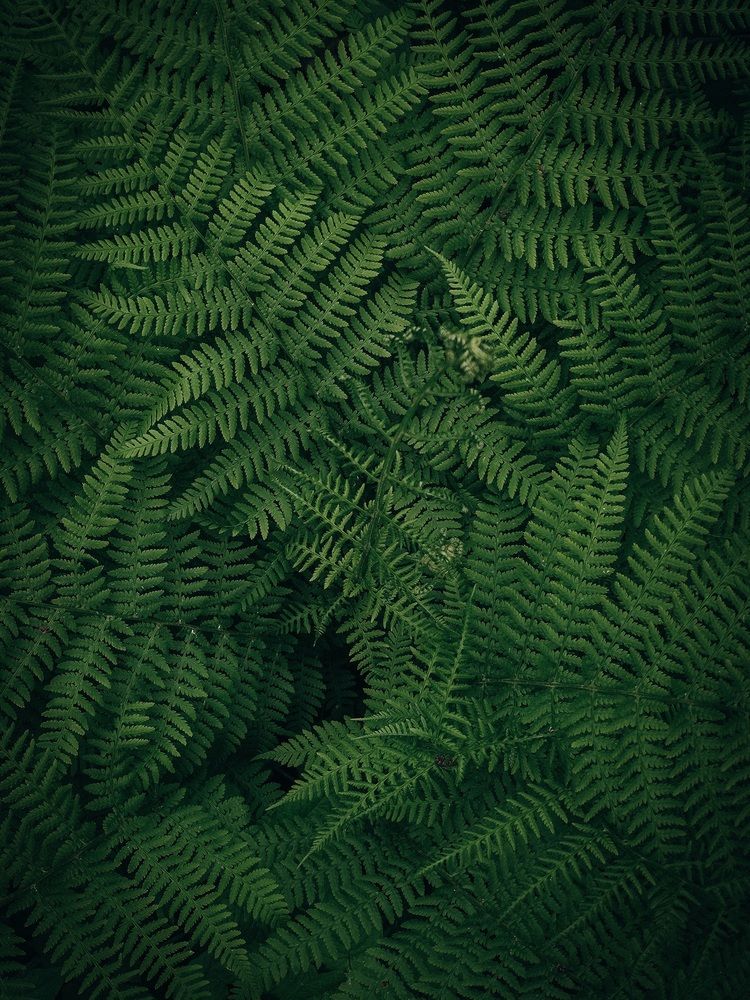 Photograph by Валерия Гуртовая