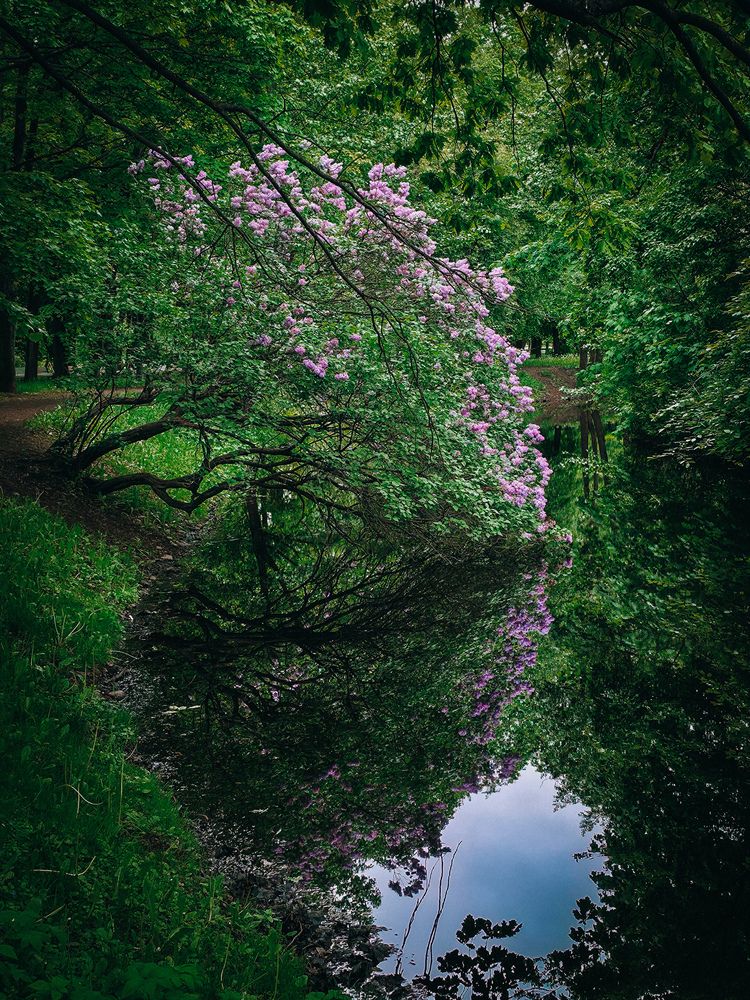 Photograph by Валерия Гуртовая