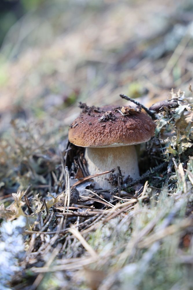 Photograph by Валерия Гуртовая