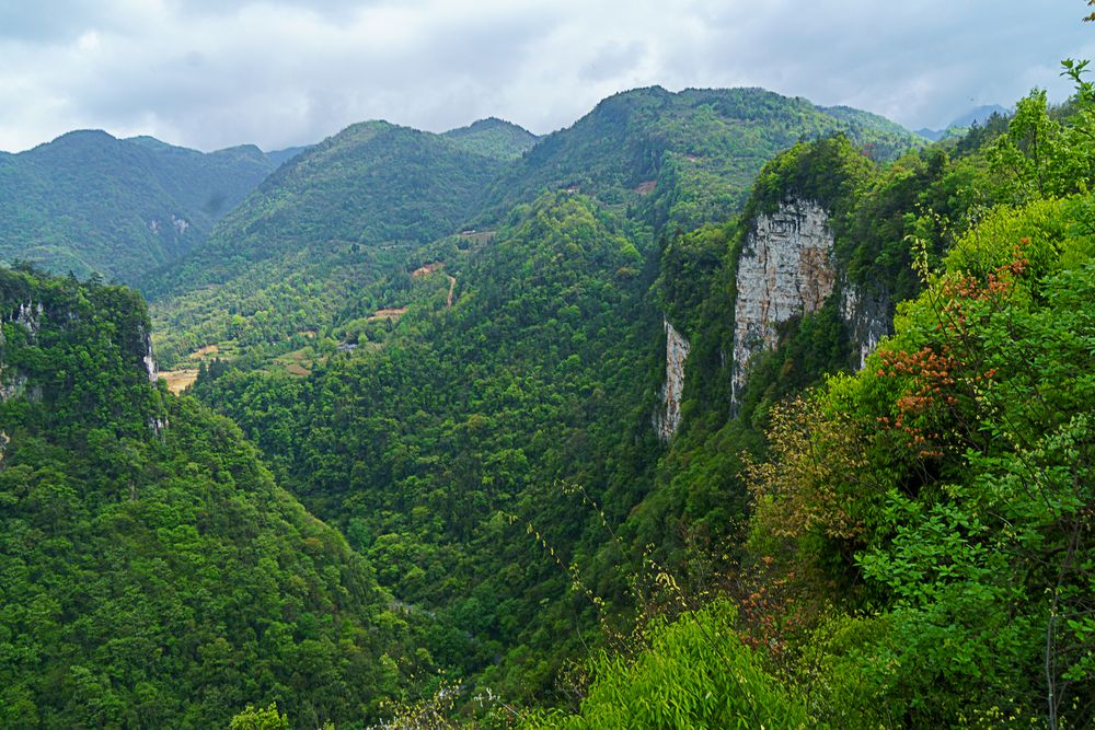 Photograph by Юлия Максимова