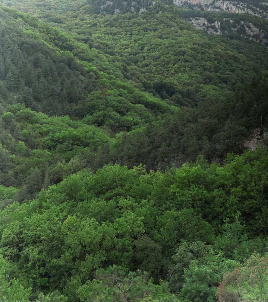 Photograph by Артём Гуцалюк