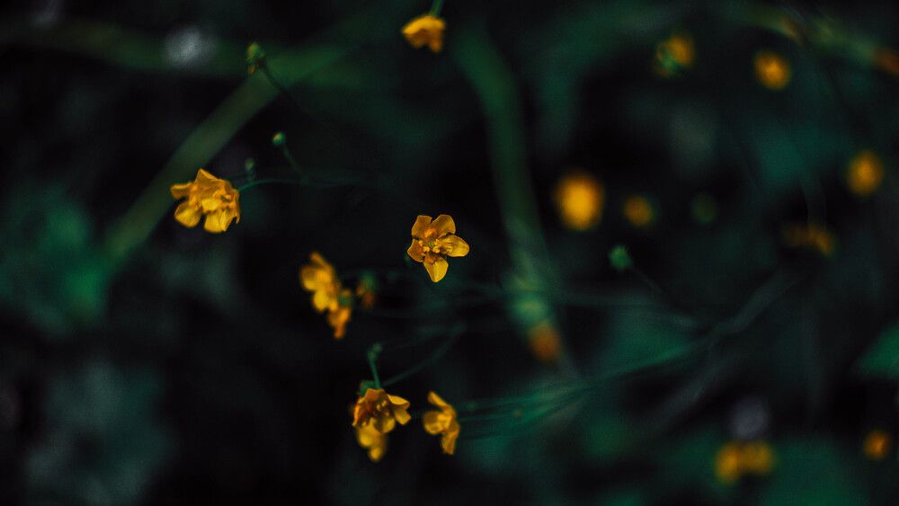 Photograph by Сергей Помелов