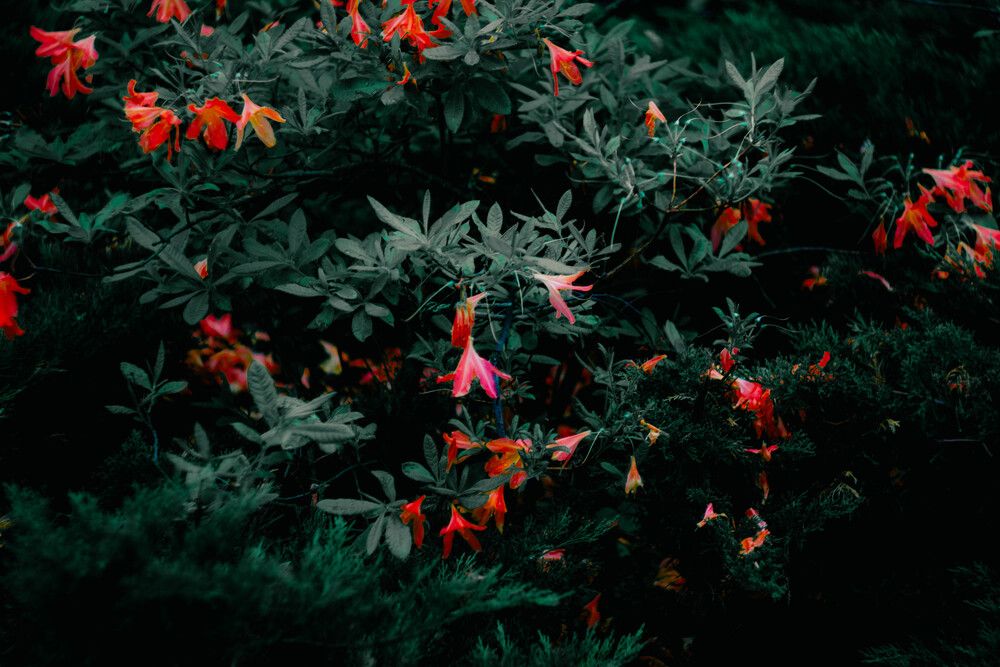 Photograph by Сергей Помелов