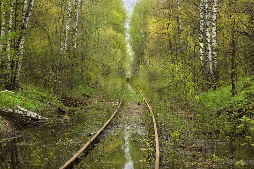 Photograph by Татьяна