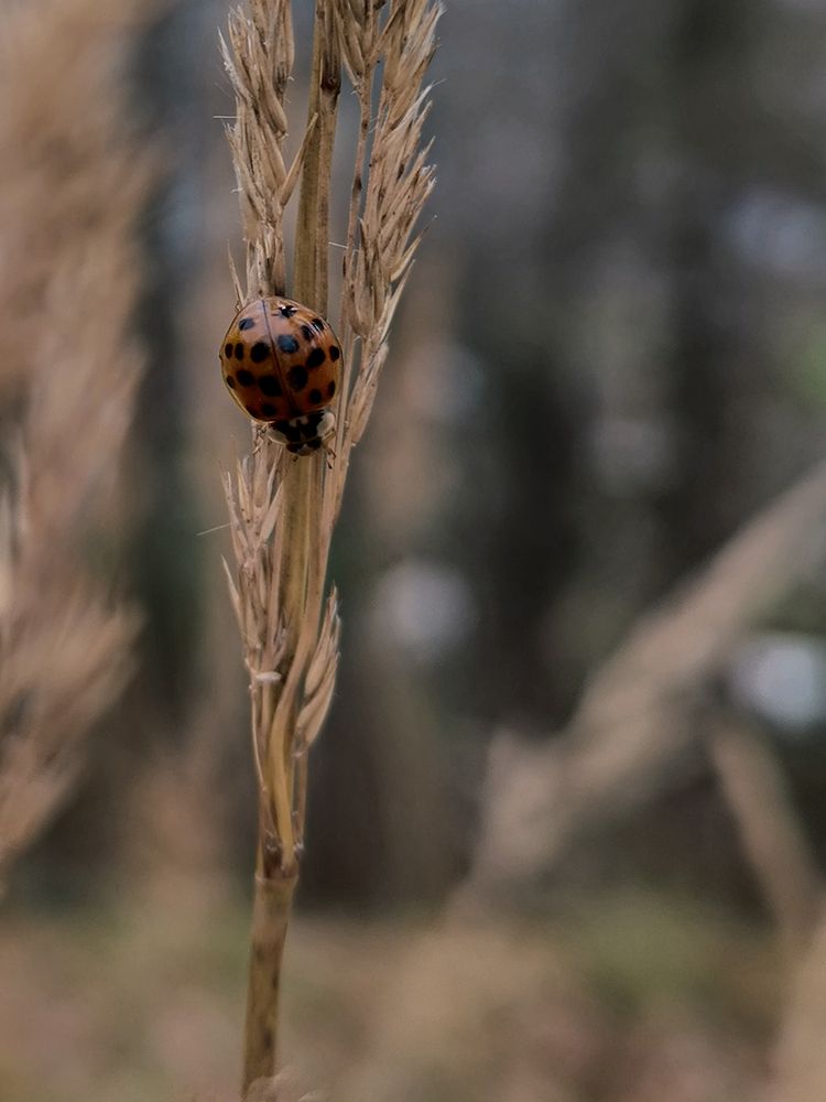 Photograph by Людмила Емельянчикова