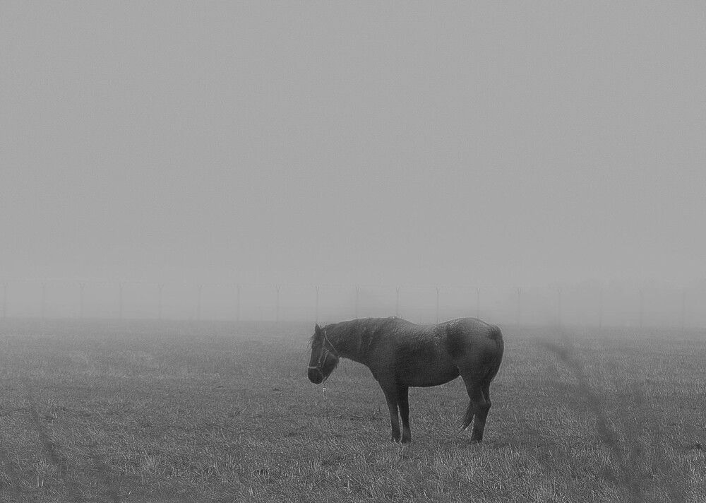 Photograph by Виктория Уварова