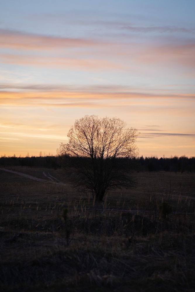 Photograph by Екатерина Одинцова