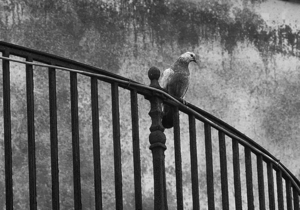 Photograph by Виктория Уварова