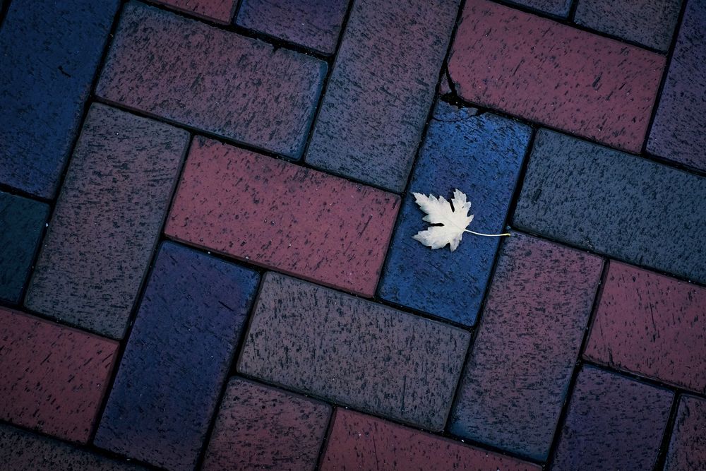 Photograph by Елена Барышева