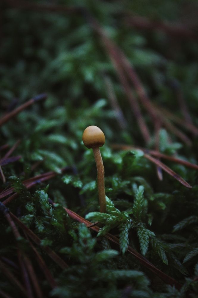 Photograph by Анна Захарчук