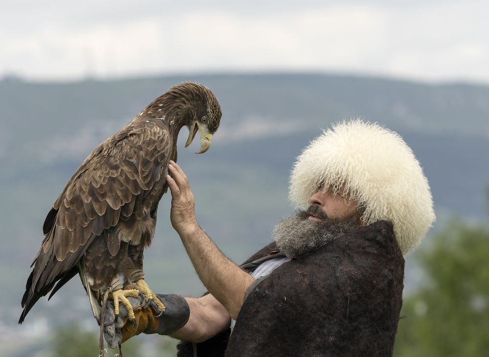 Photograph by Анатолий Макоедов