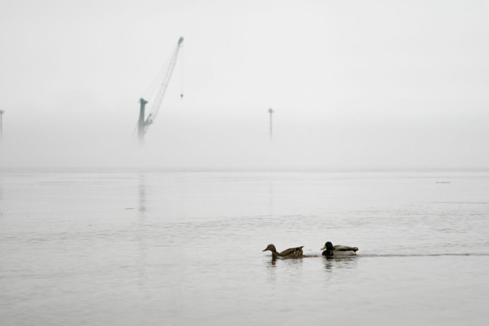 Photograph by Биденко Анастасия