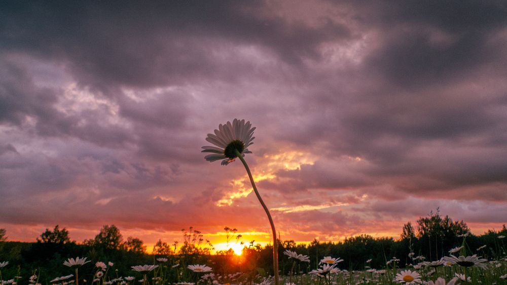 Photograph by Aндрей Иванов