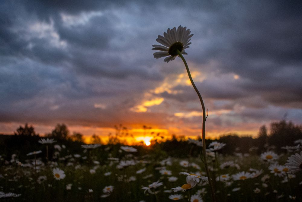 Photograph by Aндрей Иванов