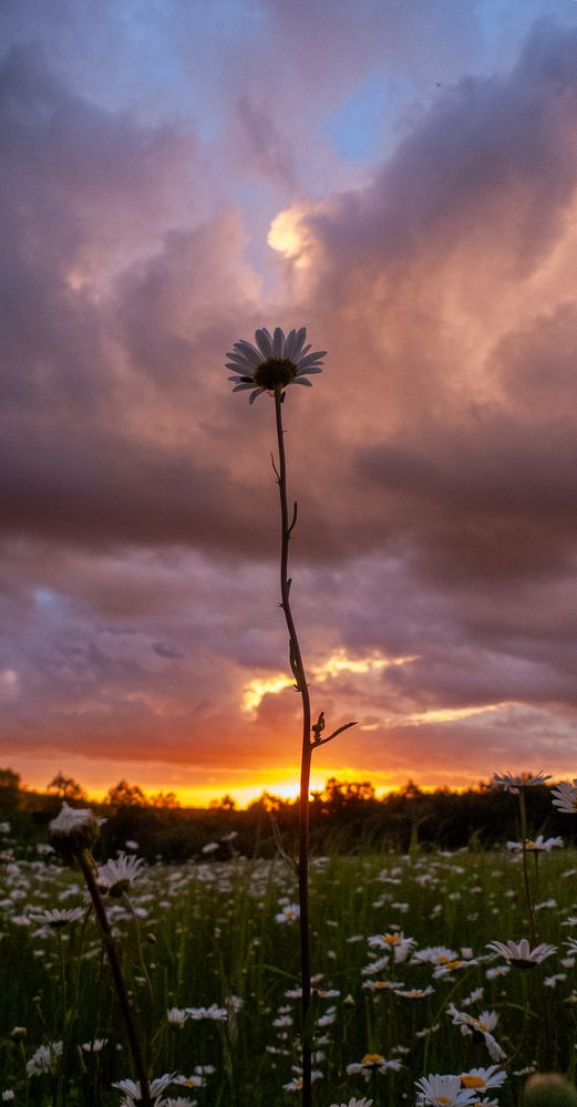 Photograph by Aндрей Иванов