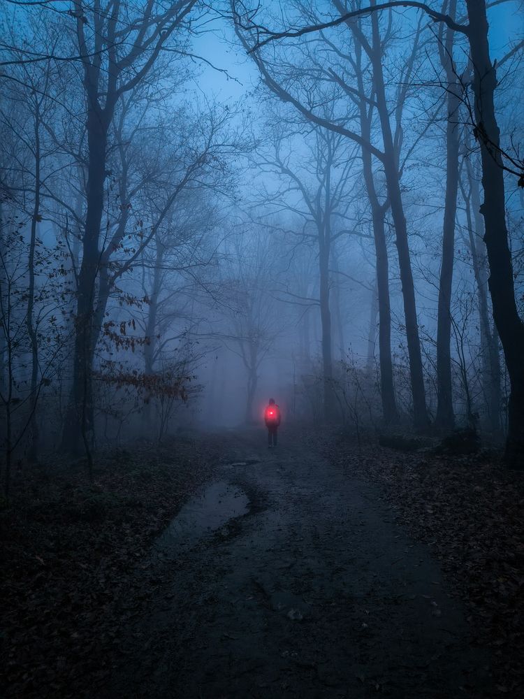 Photograph by Aндрей Иванов