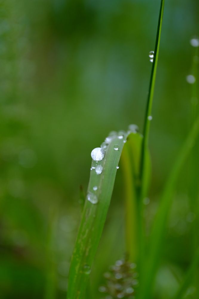 Photograph by Яна Бойко