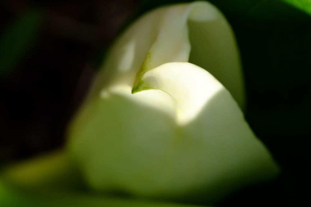 Photograph by Яна Бойко