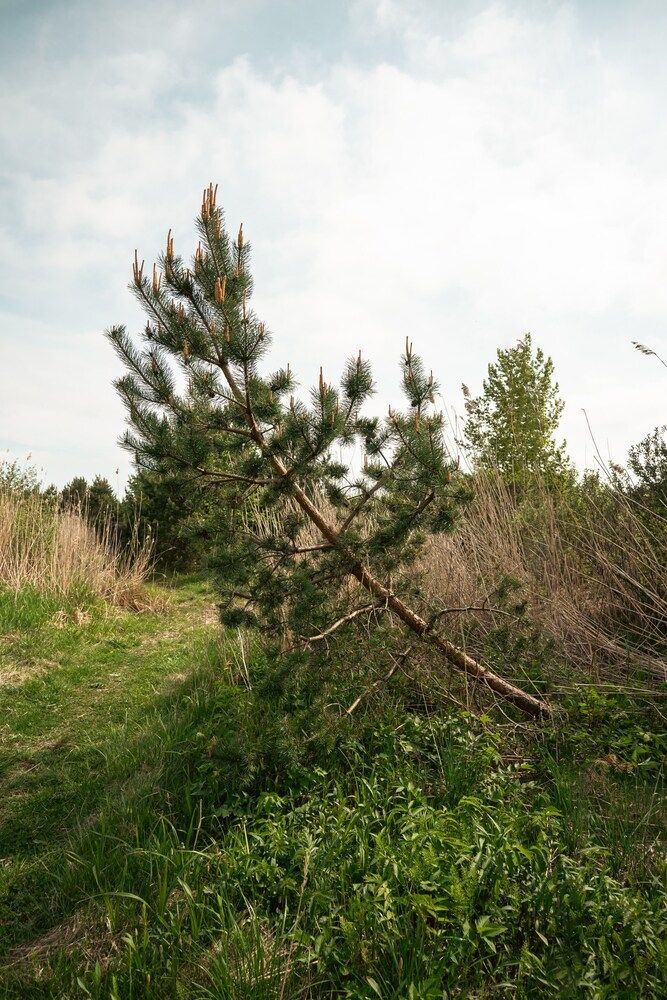 Photograph by Ольга Барбашева