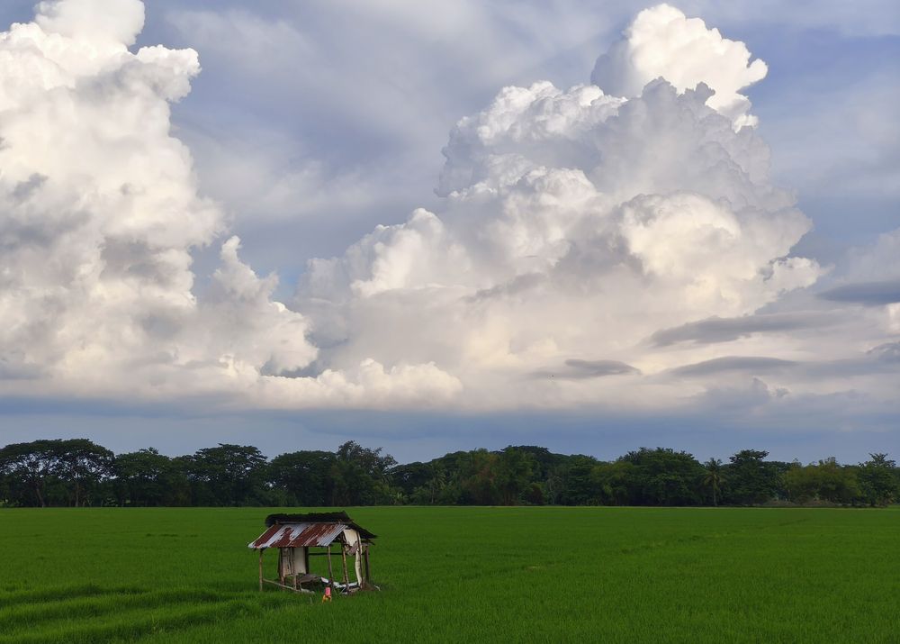 Photograph by Carlo Dacumos