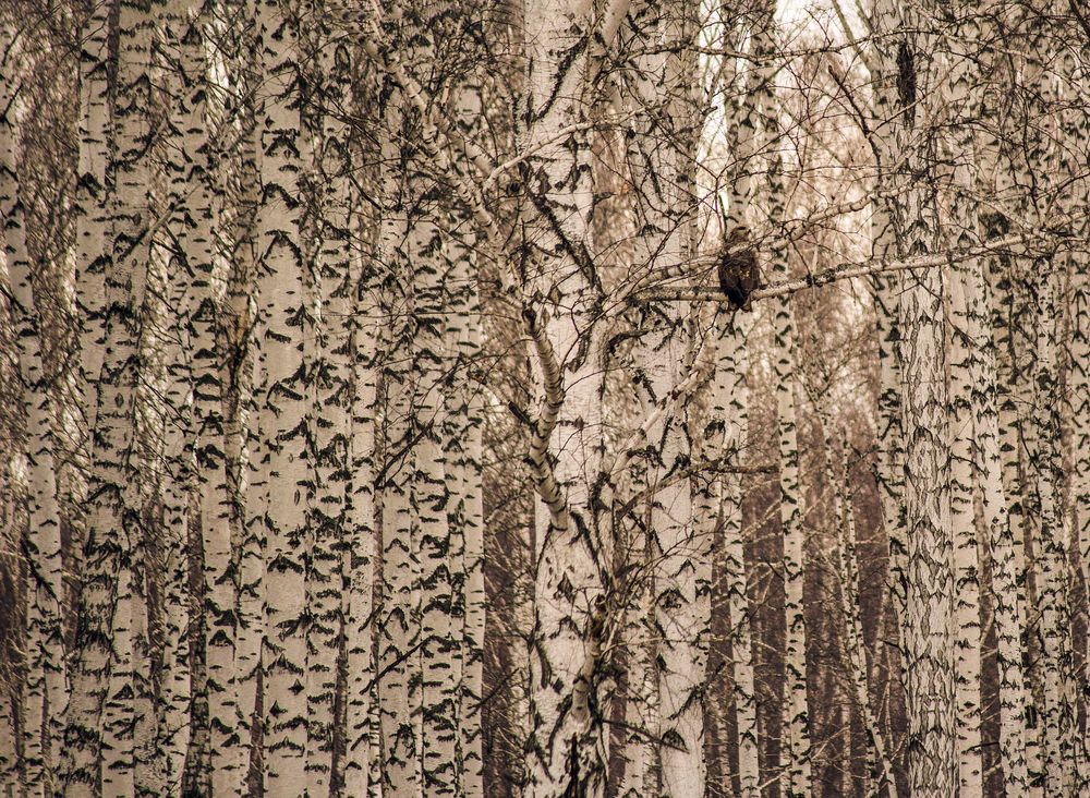 Photograph by Angelina Pirtina