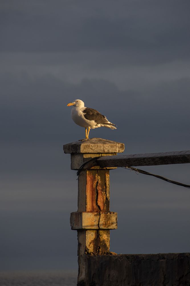 Photograph by Jorge Bagnuoli