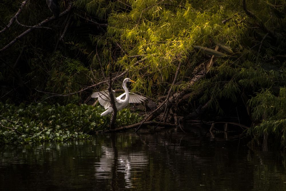 Photograph by Jorge Bagnuoli