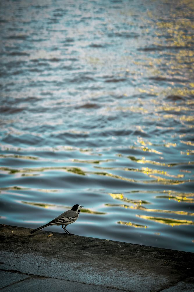 Photograph by Vlad S.