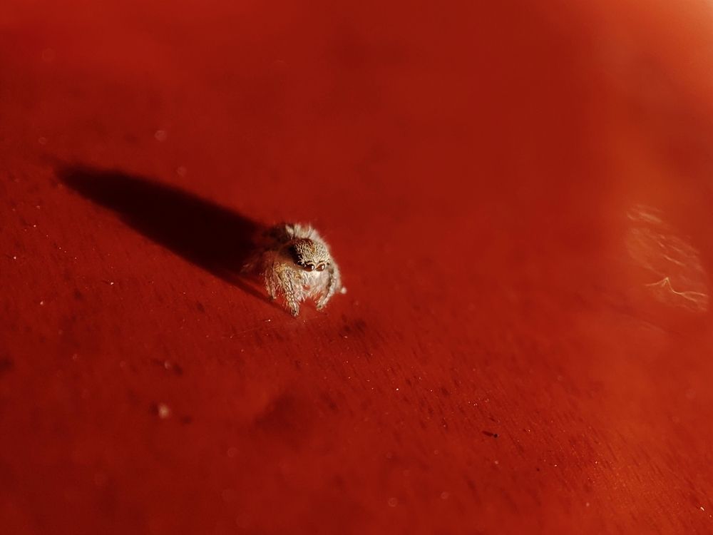 Photograph by Ирина Строкова