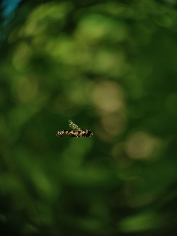 Photograph by Ирина Строкова