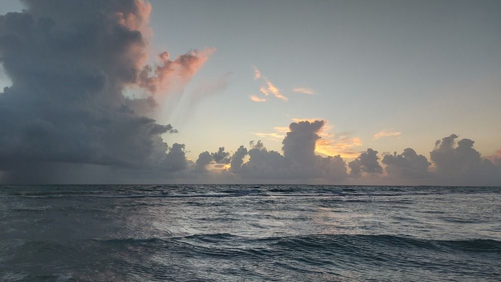 Photo #13648974