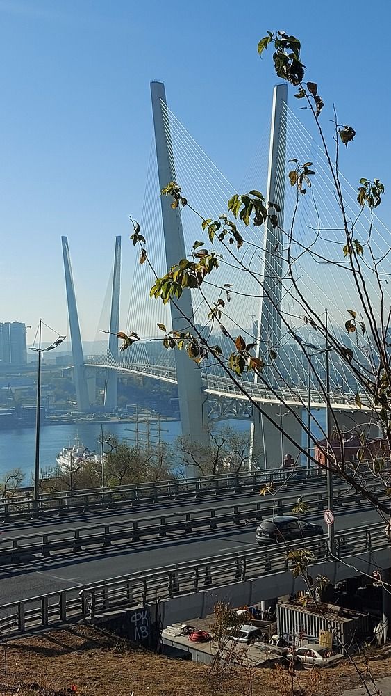 Владивосток. Мосты
