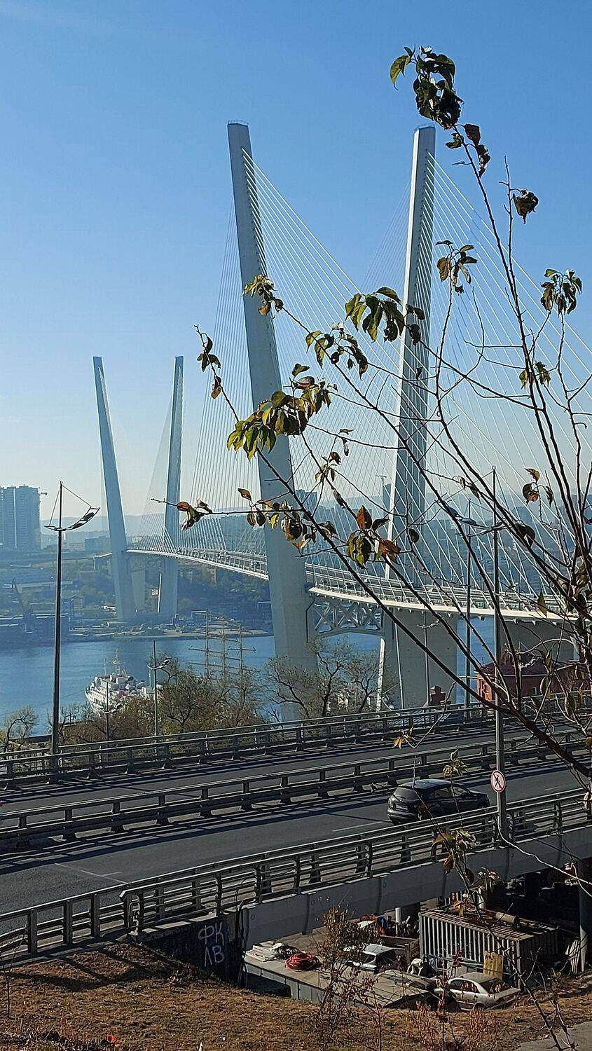 Владивосток. Мосты