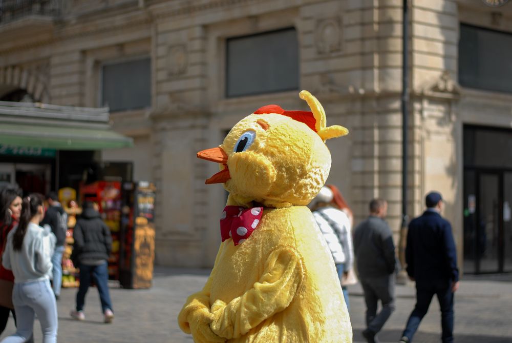 Urban Chick