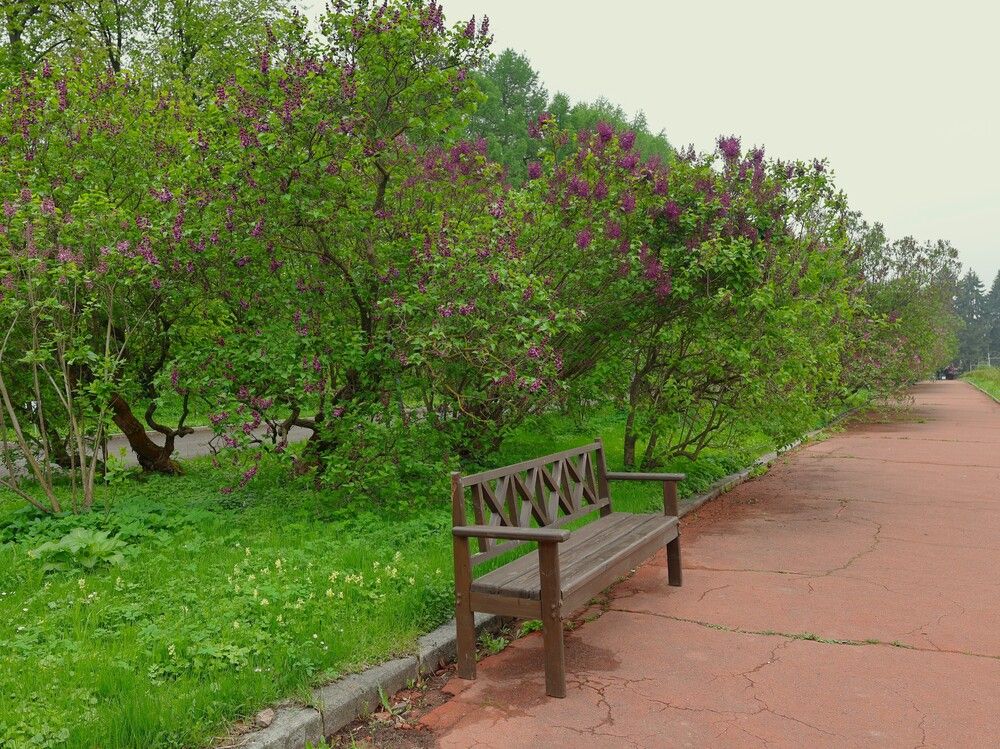 Photograph by Гагик Саркисян