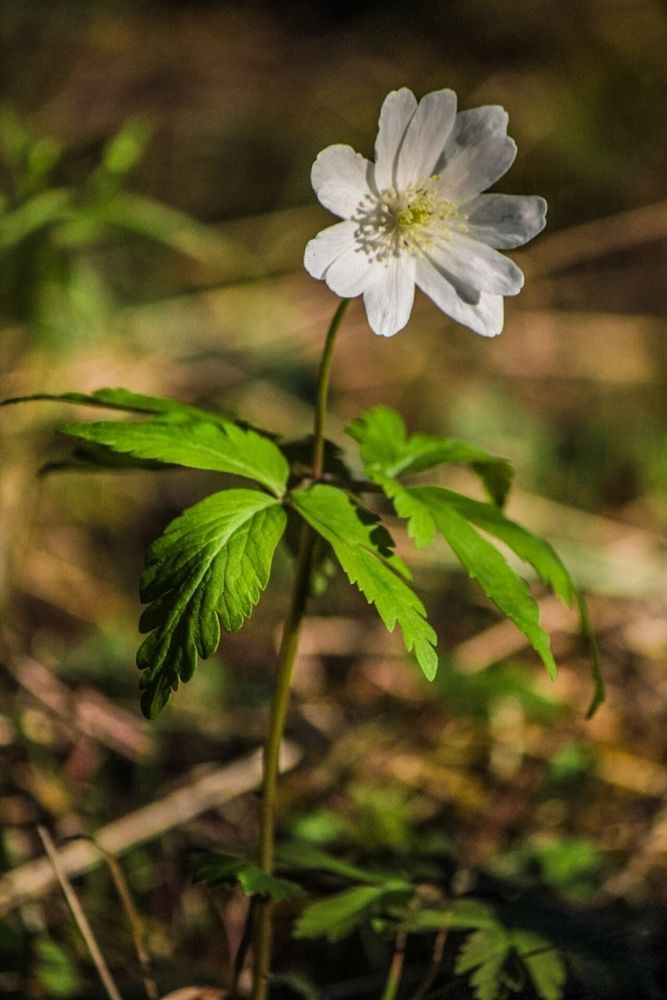 Photograph by Павел Ван
