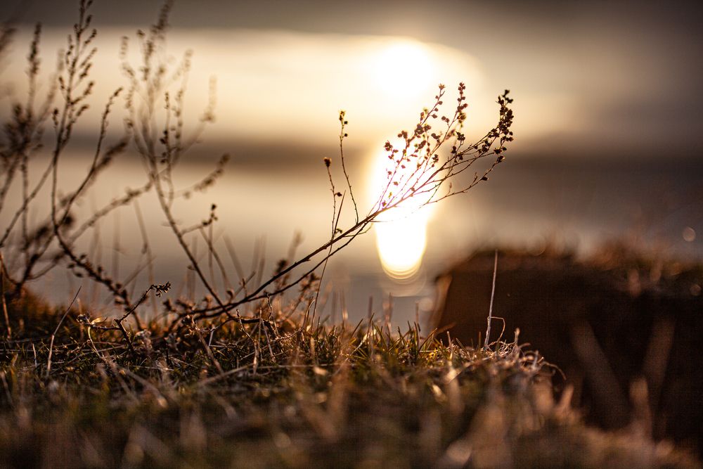 Photograph by Олег Чебесов