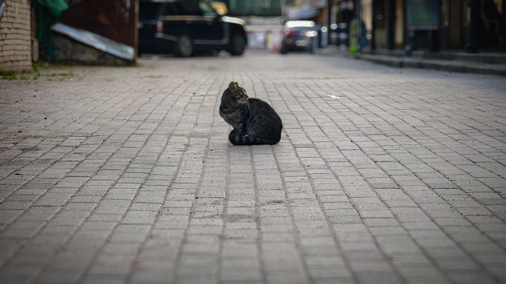 Photograph by Александр