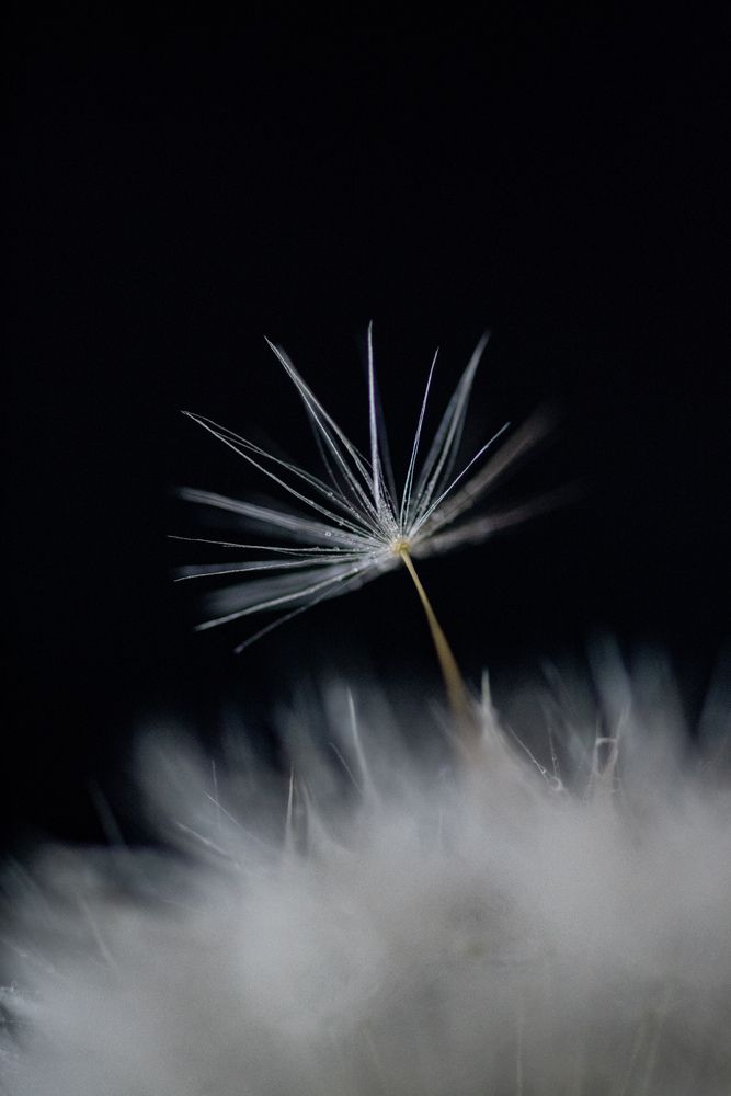 Photograph by Ксения Шилина