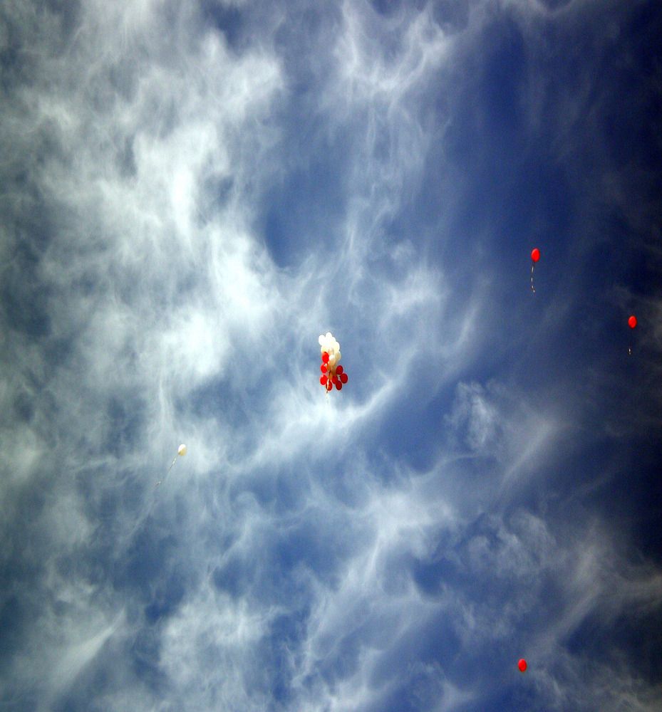 Photograph by Татьяна Пальчикова